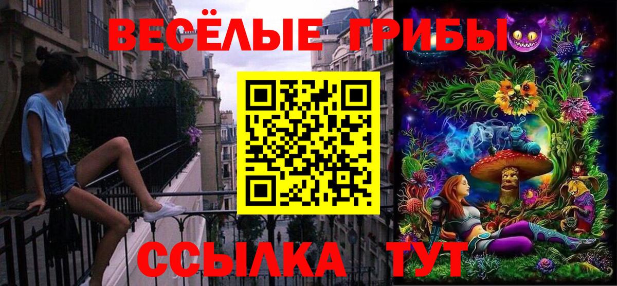 Галлюциногенные грибы Psilocybine cubensis Отрадное