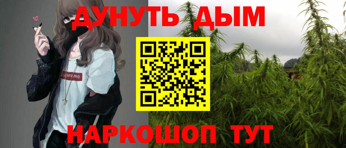 Каннабис планчик  Шишки марихуана сатива  Бошки марихуана Amnesia  Отрадное  Вход с VPN  Каннабис ГИДРОПОН 